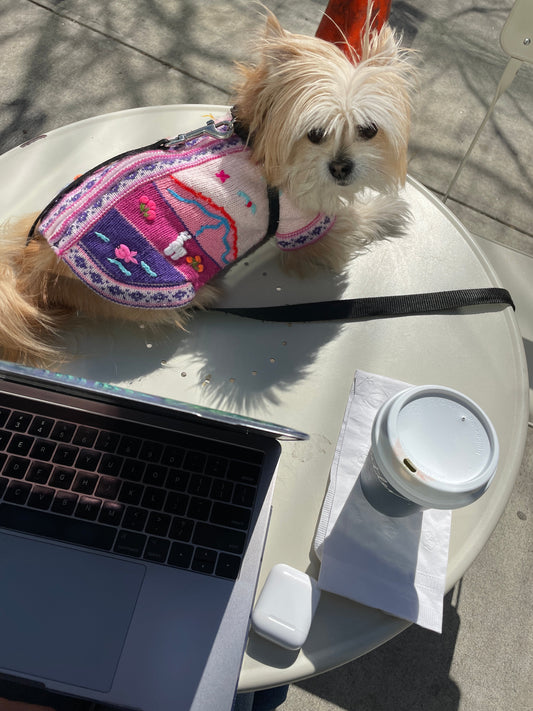 The 10 Best Dog-Friendly Coffee Shops in Brooklyn