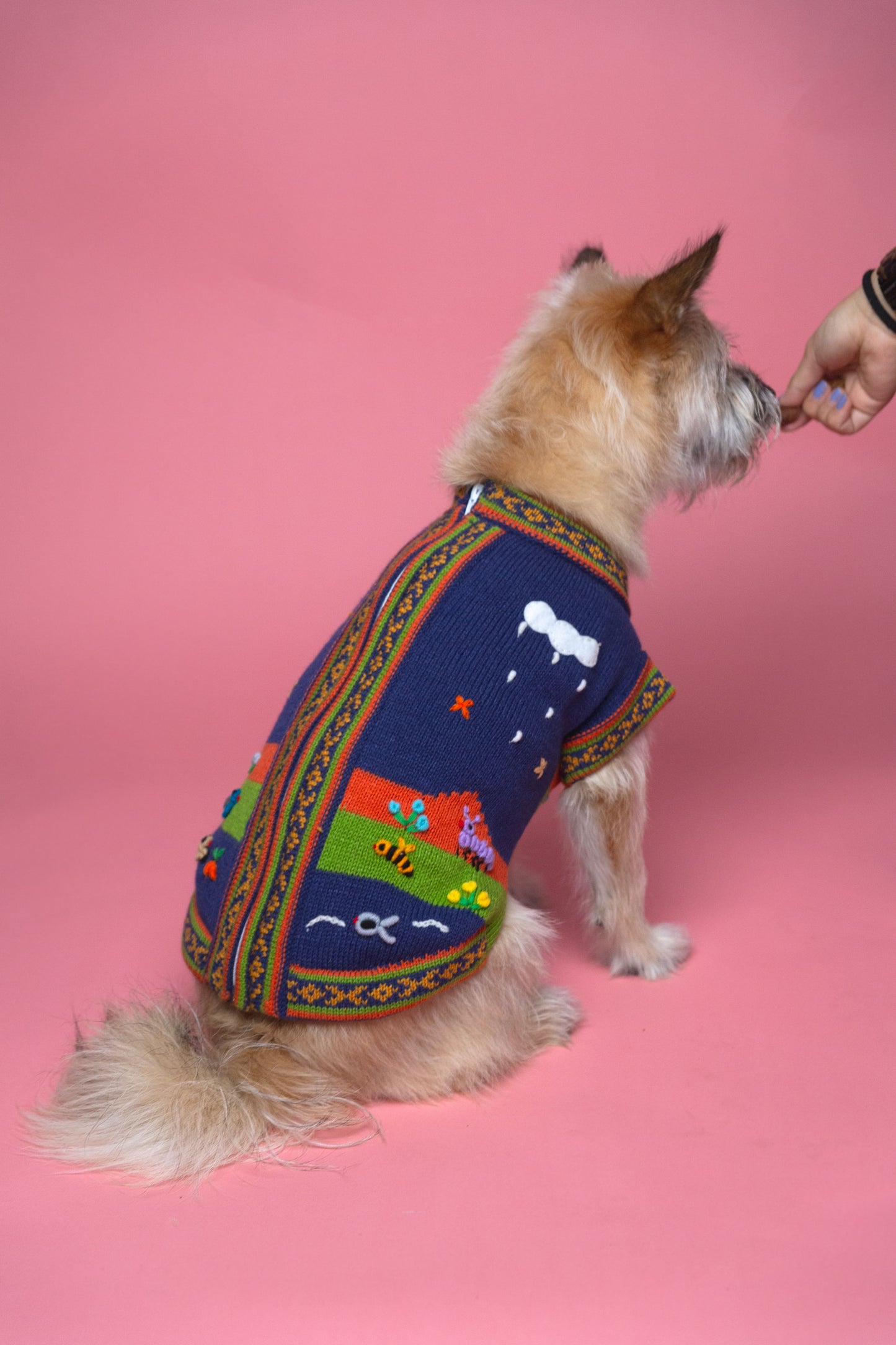 The Mia Sweater in Midnight