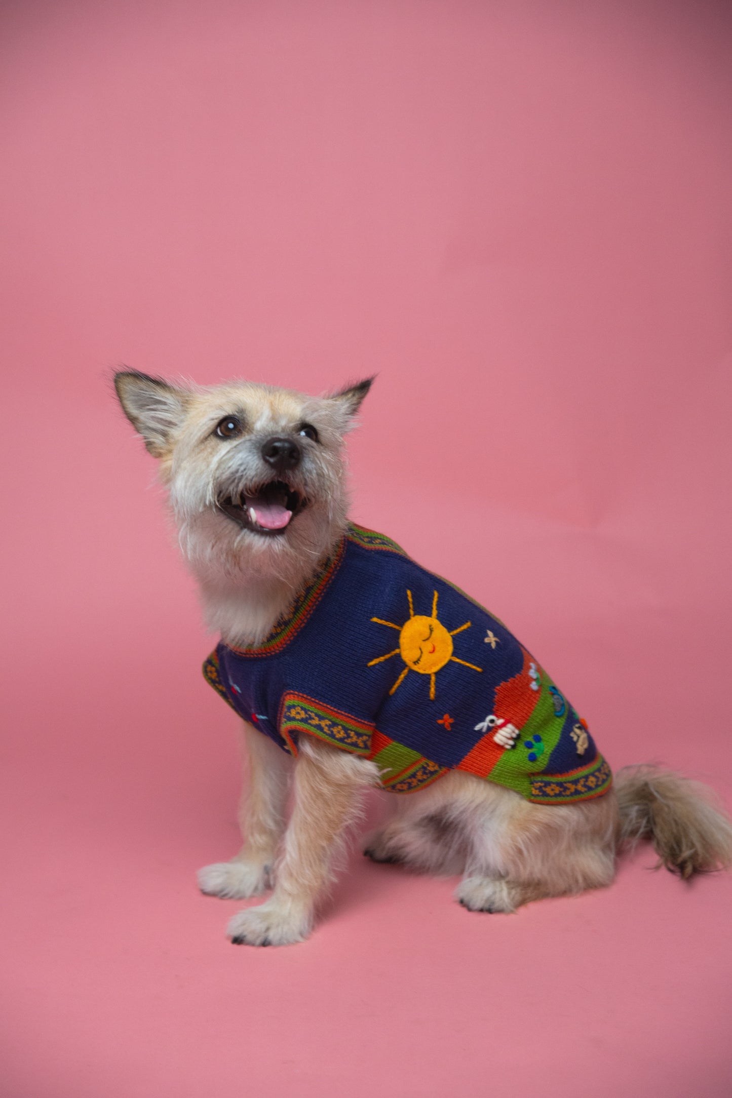 The Mia Sweater in Midnight