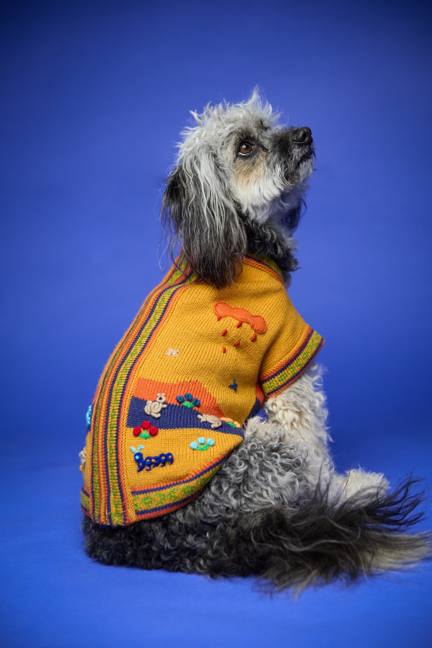 The Mia Sweater in Mustard