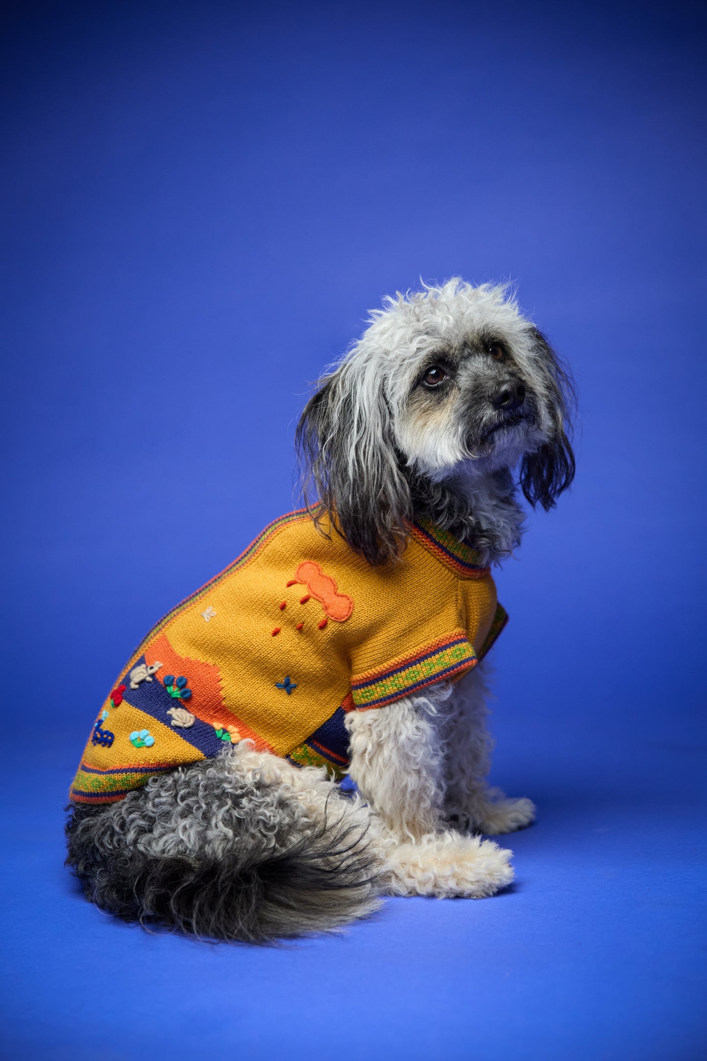 The Mia Sweater in Mustard