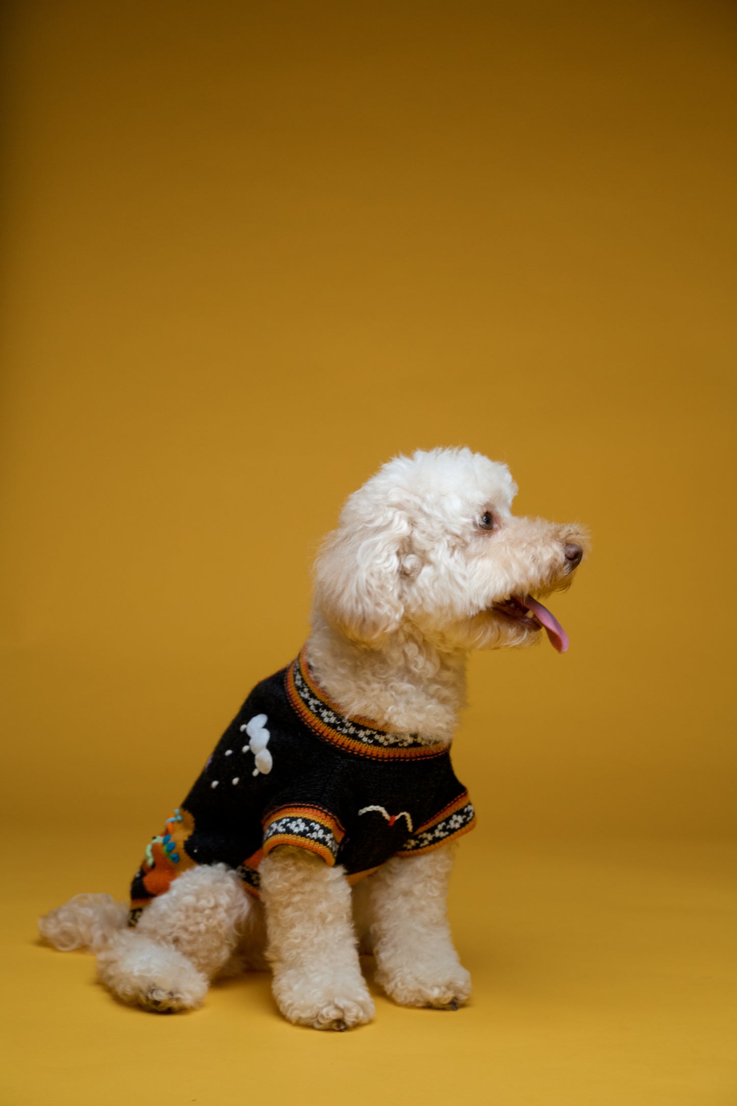 The Mia Sweater in Soot