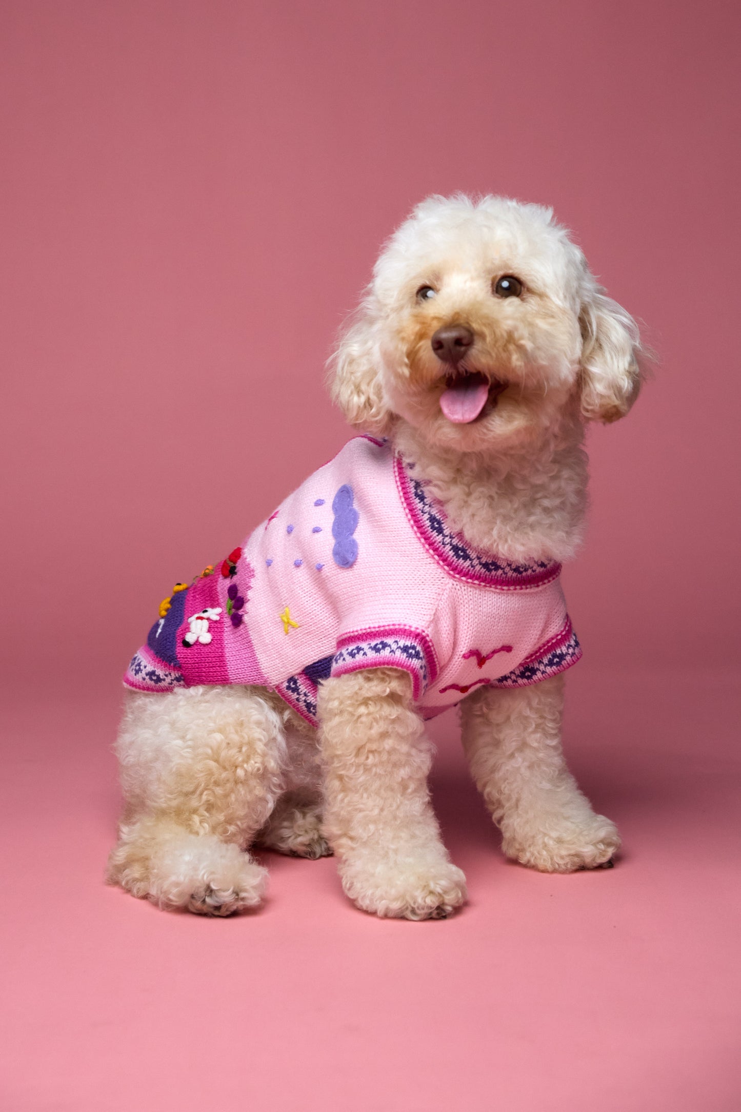 The Mia Sweater in Flamingo