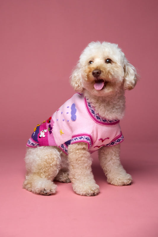 The Mia Sweater in Flamingo