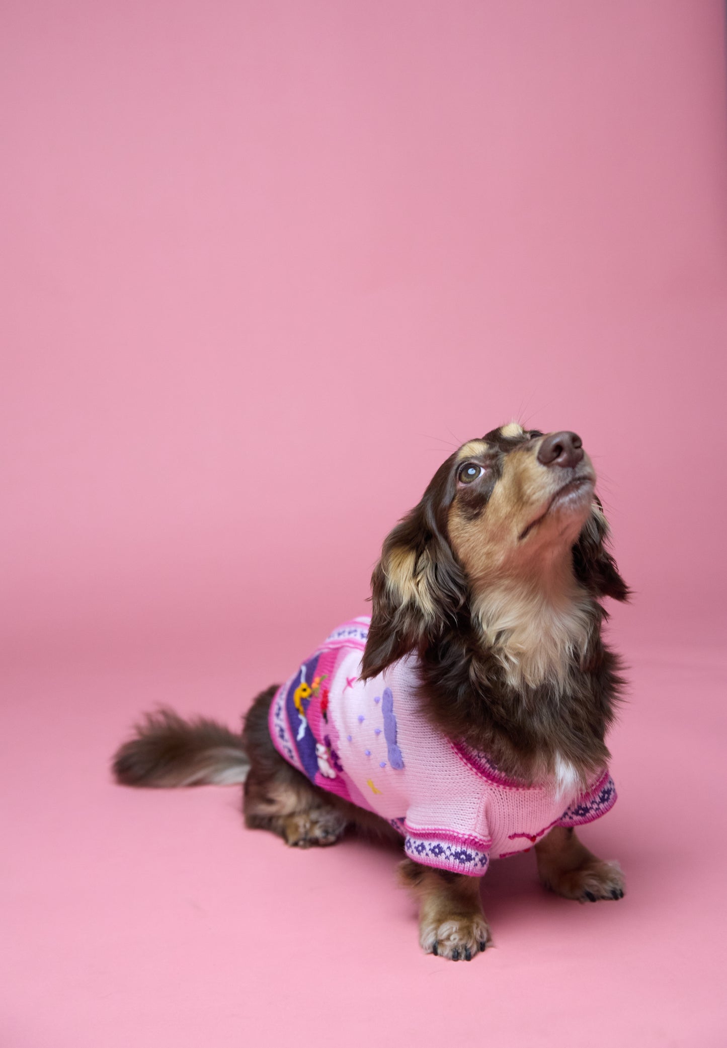 The Mia Sweater in Flamingo